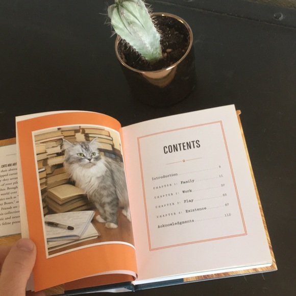 Other I Could Pee On This Cat Coffee Table Book Poshmark